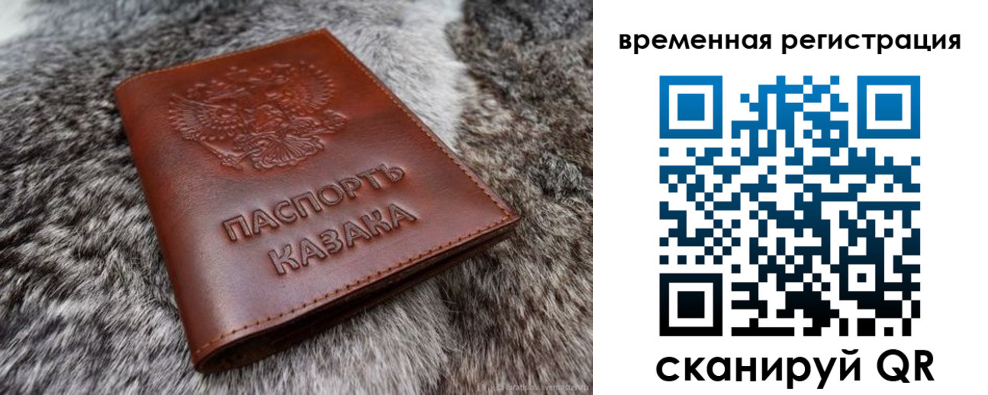прописка 2025 в Новоаннинском